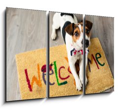 Obraz 3D tdln - 105 x 70 cm F_BB73116832 - Cute dog posing on the carpet