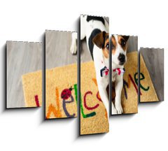 Obraz 5D ptidln - 150 x 100 cm F_GB73116832 - Cute dog posing on the carpet