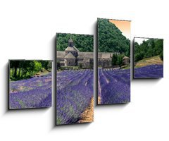 Obraz 4D tydln - 100 x 60 cm F_IS24141641 - France - Paca - Abbaye de Senanque