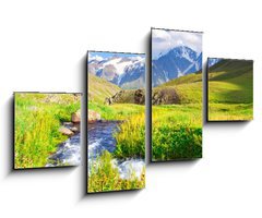 Obraz 4D tydln - 100 x 60 cm F_IS41700210 - River on meadow