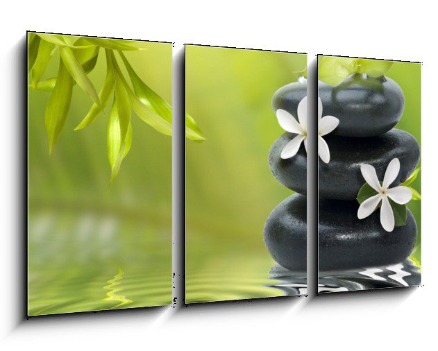 Moderní obraz lázeňské zátiší s bílými květy na černém kameni, bambus