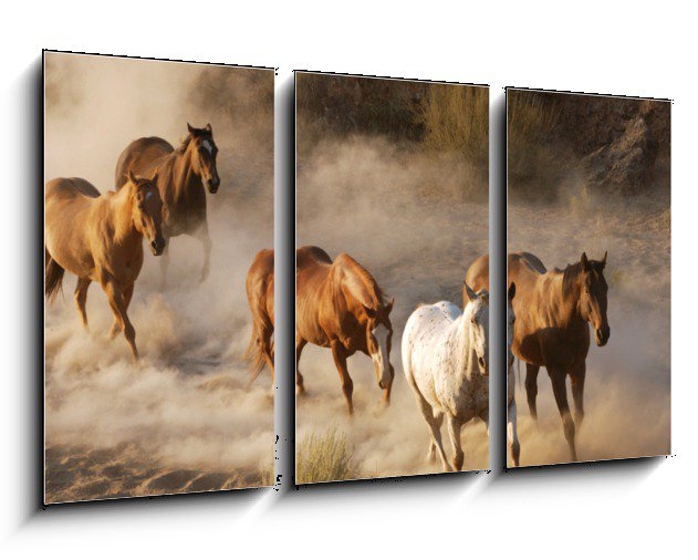 Obraz běžících divokých koní