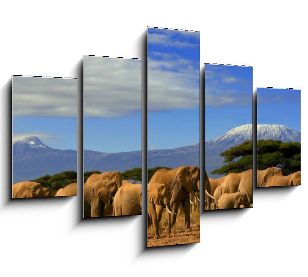 Obraz na plátně Kilimanjaro