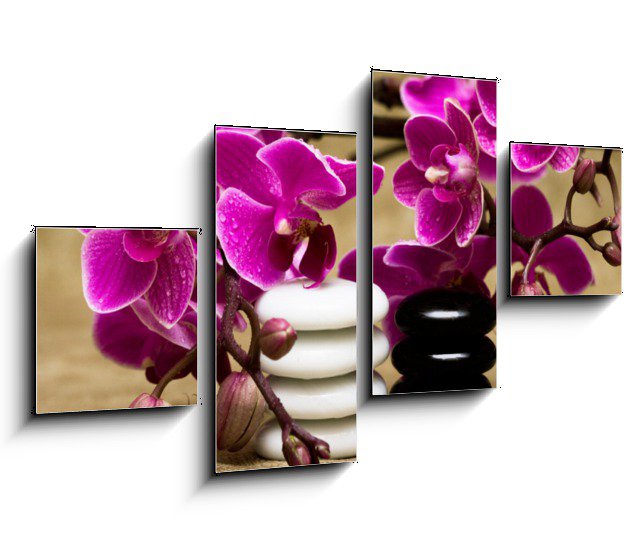 Obraz na stěnu Kameny a růžové květy orchideje