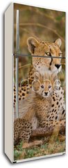 Samolepka na lednici fólie 80 x 200, 100367879 - Mother cheetah and her cubs in the savannah. Kenya. Tanzania. Africa. National Park. Serengeti. Maasai Mara. An excellent illustration. - Matka gepard a její mláďata v savaně. Kea. Tanzanie. Afrika. Národní park. Serengeti. Maasai Mara. Vynikající ilustrace.