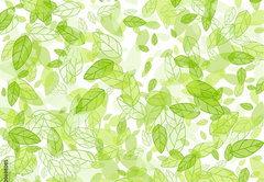 Fototapeta pltno 174 x 120, 100698085 - seamless background with green leaves