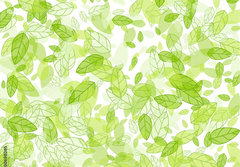Fototapeta papr 184 x 128, 100698085 - seamless background with green leaves