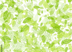 Fototapeta papr 254 x 184, 100698085 - seamless background with green leaves