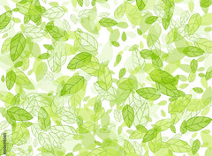 Fototapeta papr 360 x 266, 100698085 - seamless background with green leaves