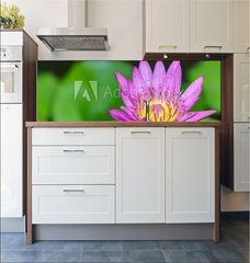 Fototapeta do kuchyn flie 180 x 60  Beautiful lotus bloom bright, 180 x 60 cm