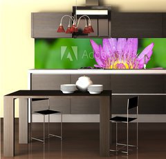 Fototapeta do kuchyn flie 260 x 60  Beautiful lotus bloom bright, 260 x 60 cm