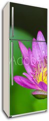 Samolepka na lednici flie 80 x 200, 100962988 - Beautiful lotus bloom bright - Krsn lotus kvetou jasn