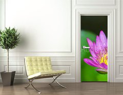 Samolepka na dveře fólie 90 x 220, 100962988 - Beautiful lotus bloom bright - Krásný lotus kvetou jasně
