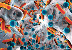Samolepka flie 145 x 100, 101448740 - Biofilm of antibiotic resistant bacteria, closeup view. Rod