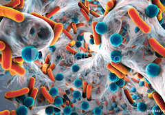 Fototapeta papr 184 x 128, 101448740 - Biofilm of antibiotic resistant bacteria, closeup view. Rod