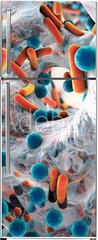 Samolepka na lednici flie 80 x 200, 101448740 - Biofilm of antibiotic resistant bacteria, closeup view. Rod