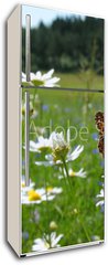 Samolepka na lednici fólie 80 x 200, 10201983 - Butterfly Queen of Spain Fritillary - spring landscape - Butterfly královna Španělska Fritillary