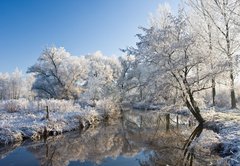 Fototapeta174 x 120  frost and a blue sky, 174 x 120 cm