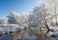 Fototapeta184 x 128  frost and a blue sky, 184 x 128 cm