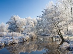 Fototapeta vliesov 270 x 200, 10232237 - frost and a blue sky