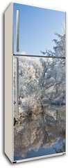 Samolepka na lednici fólie 80 x 200, 10232237 - frost and a blue sky - mráz a modrou oblohu