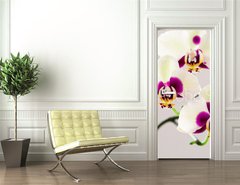 Samolepka na dveře fólie 90 x 220, 102911001 - White with Purple Centre Orchid on White Background, Close-up - Bílá s fialovou středovou orchidejí na bílém pozadí, zavřít