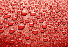 Fototapeta papr 184 x 128, 10361893 - Water drops - Kapky vody