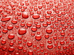 Samolepka flie 270 x 200, 10361893 - Water drops - Kapky vody