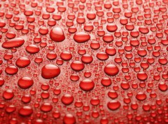 Fototapeta papr 360 x 266, 10361893 - Water drops