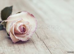 Samolepka fólie 100 x 73, 104120121 - Vintage Rose