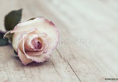 Fototapeta174 x 120  Vintage Rose, 174 x 120 cm