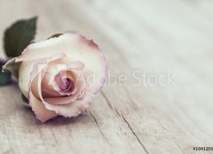 Samolepka flie 200 x 144  Vintage Rose, 200 x 144 cm