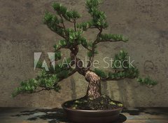 Samolepka fólie 100 x 73, 104394182 - Decorative Bonsai Tree - Dekorativní strom bonsai