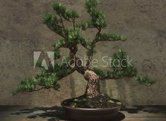 Samolepka flie 100 x 73, 104394182 - Decorative Bonsai Tree - Dekorativn strom bonsai