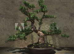 Fototapeta pltno 160 x 116, 104394182 - Decorative Bonsai Tree - Dekorativn strom bonsai