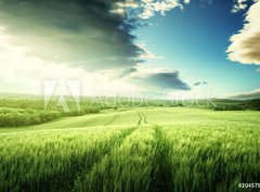 Fototapeta pltno 330 x 244, 104579595 - Tuscany sunset, Italy