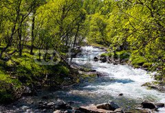 Fototapeta pltno 174 x 120, 104760692 - River in Norway