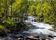 Fototapeta papr 254 x 184, 104760692 - River in Norway