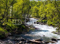 Fototapeta pltno 330 x 244, 104760692 - River in Norway