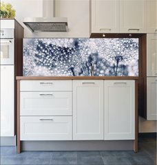 Fototapeta do kuchyn flie 180 x 60  Plant seeds with water drops, 180 x 60 cm