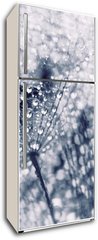 Samolepka na lednici flie 80 x 200, 104898301 - Plant seeds with water drops