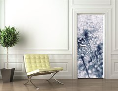 Samolepka na dvee flie 90 x 220, 104898301 - Plant seeds with water drops