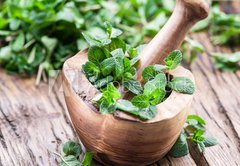 Samolepka flie 145 x 100, 105926593 - Fresh mint, wooden mortar and pestle. - erstv mta, devn malta a palika.