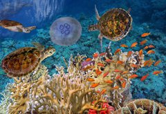 Samolepka flie 145 x 100, 107412265 - Colorful coral reef with many fishes and sea turtle