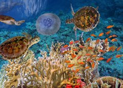 Fototapeta vliesov 200 x 144, 107412265 - Colorful coral reef with many fishes and sea turtle