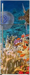 Samolepka na lednici flie 80 x 200, 107412265 - Colorful coral reef with many fishes and sea turtle