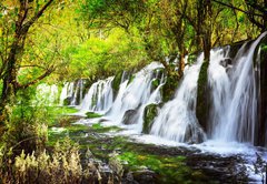 Fototapeta vliesov 145 x 100, 107722539 - Scenic waterfall with crystal clear water among green forest