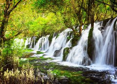 Fototapeta plátno 160 x 116, 107722539 - Scenic waterfall with crystal clear water among green forest - Scénický vodopád s křišťálově čistou vodou mezi zelenými lesy