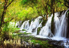 Fototapeta papr 184 x 128, 107722539 - Scenic waterfall with crystal clear water among green forest