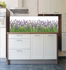 Fototapeta do kuchyn flie 180 x 60, 107877649 - Lavender flowers. Fresh lavender plants isolated on white